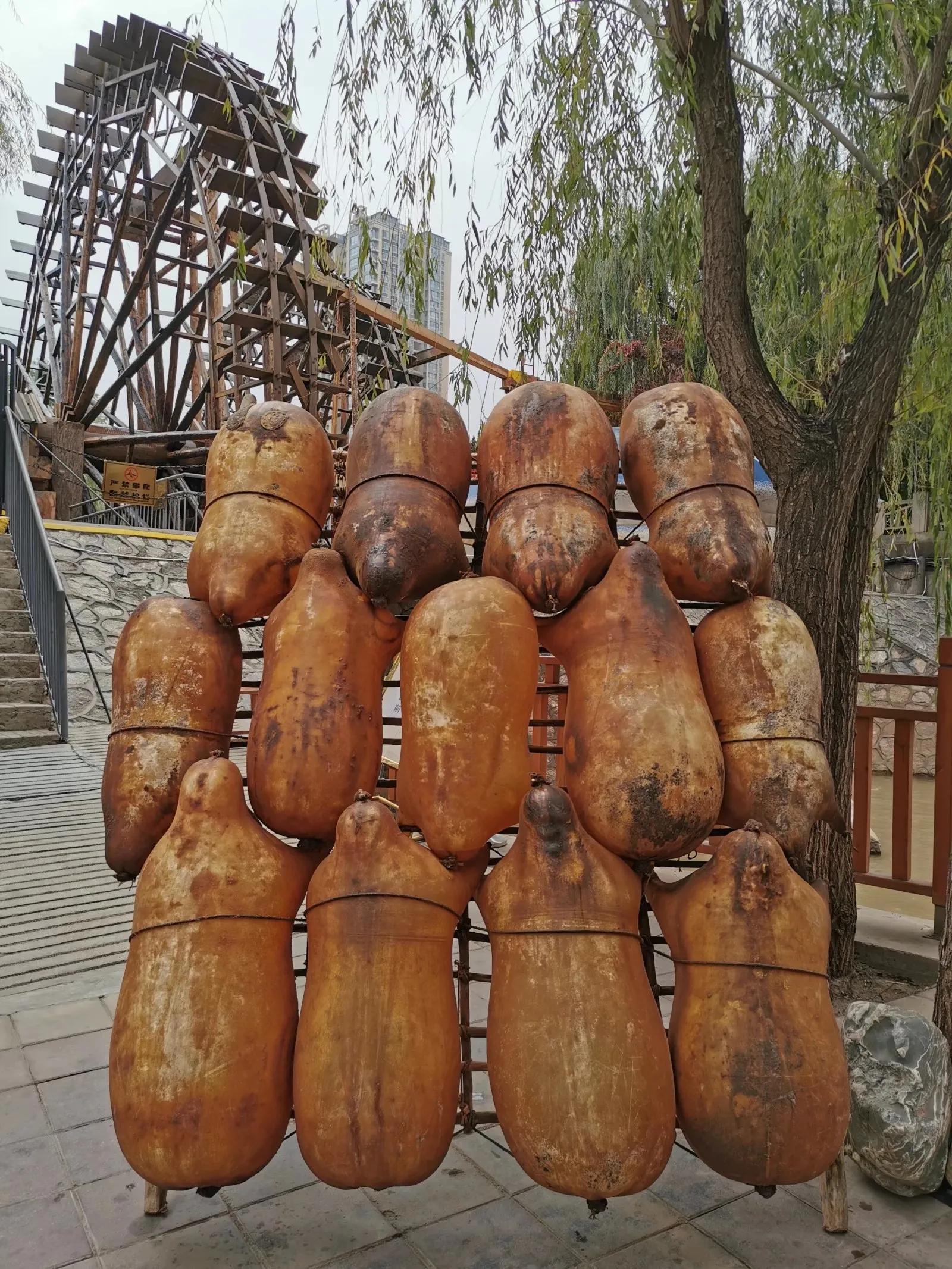 2021秋，噩梦大西北