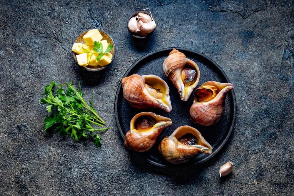 网红蜗牛的危害,非洲大蜗牛千万别让孩子碰