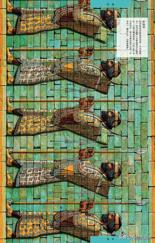 dk艺术百科8册,dk艺术启蒙百科