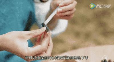 她31岁放弃北漂高薪，回归森林“捡垃圾”，用树叶打造出人间仙境