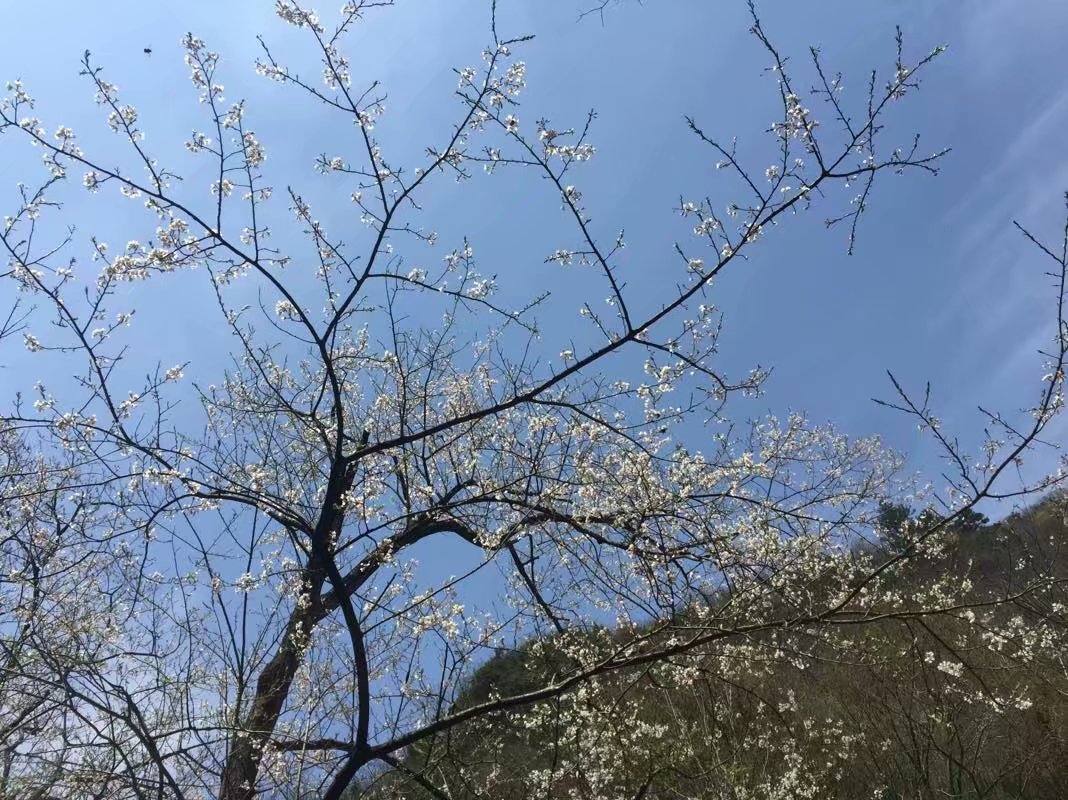 浙江的“青藏高原”在哪里？一起去浙西大峡谷探秘吧！