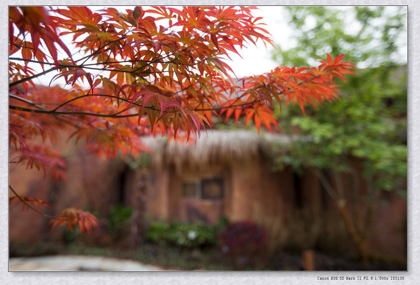 常州旅游东方盐湖城,骆驼之旅视频