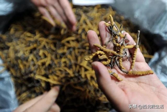 青海到底是哪里的,青海到底是一个怎样的地方