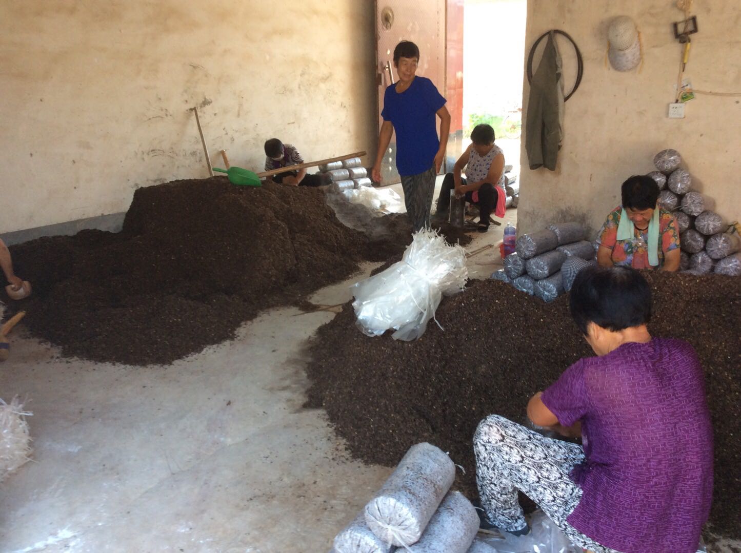 种平菇菌种怎么自己做的,自己在家可以自制平菇菌种吗