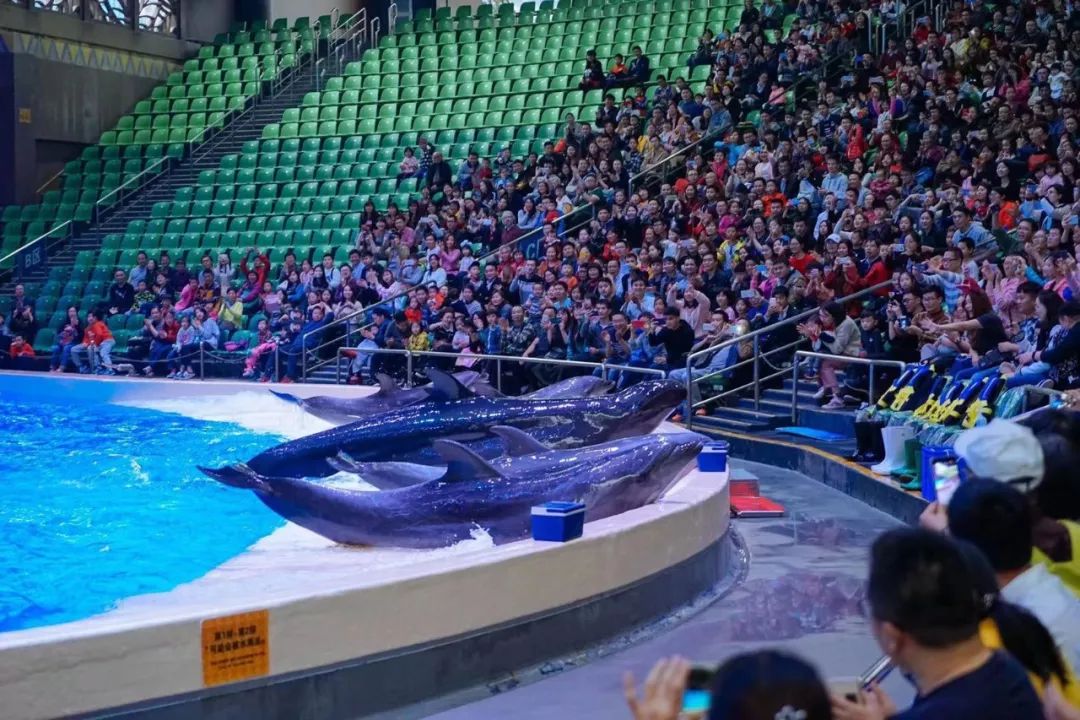 珠海哪里最值得去旅游,珠海哪里旅游比较值得去