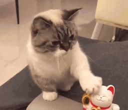 瀹犵埍鍥介檯鍔ㄧ墿璇婄枟涓績,瀹犵埍鍥介檯鍔ㄧ墿鍖婚櫌鍖椾含瑗跨珯