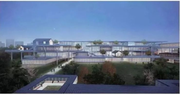 2019浦东新区重点工程项目建设,2020年浦东新区重大道路项目名单