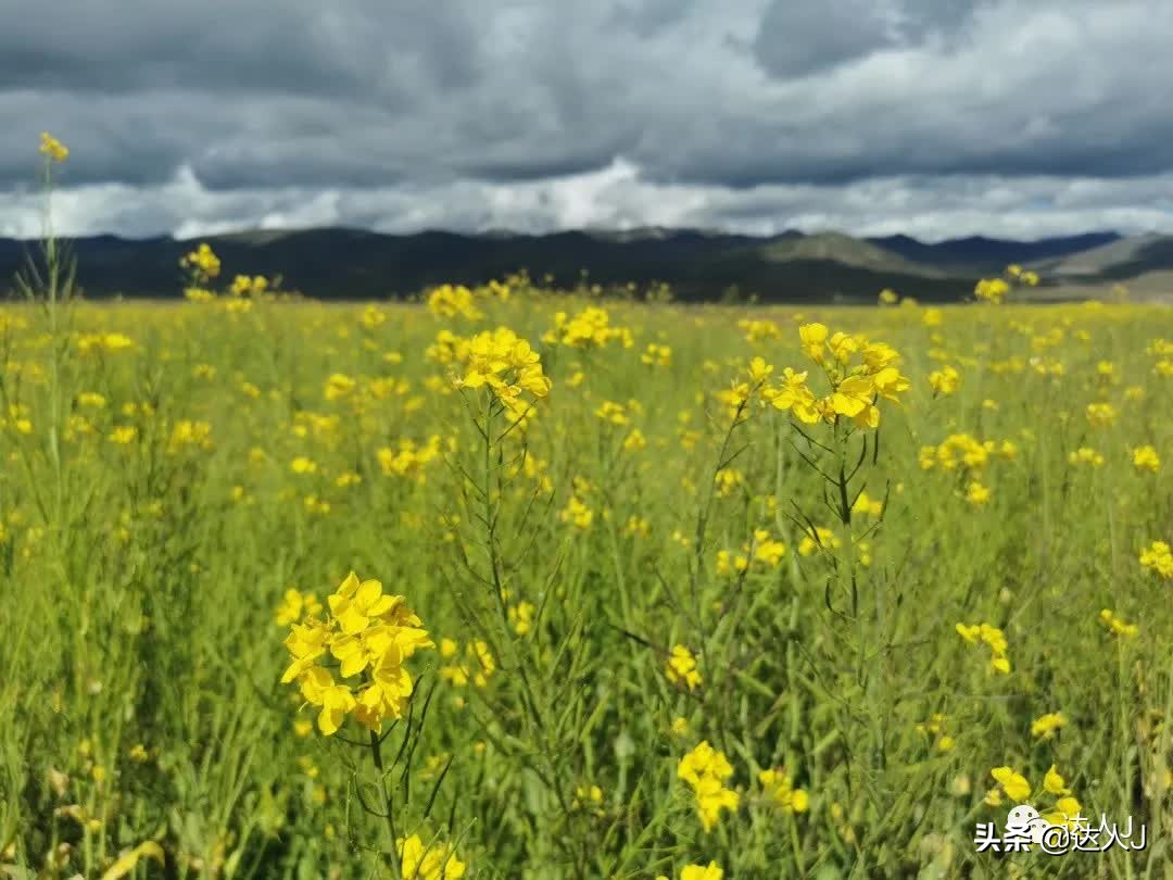 有一种信仰叫爱情,心目中的珠穆朗玛峰