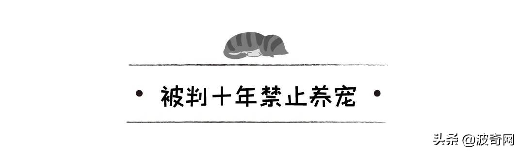 不喂狗会复位吗,不喂狗的下场