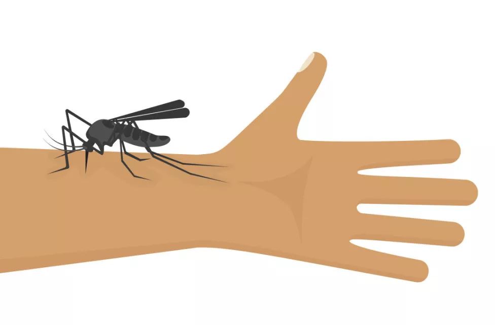 烧蚊香等于吸毒气？夏天总被蚊子咬！到底哪些灭蚊方式最靠谱