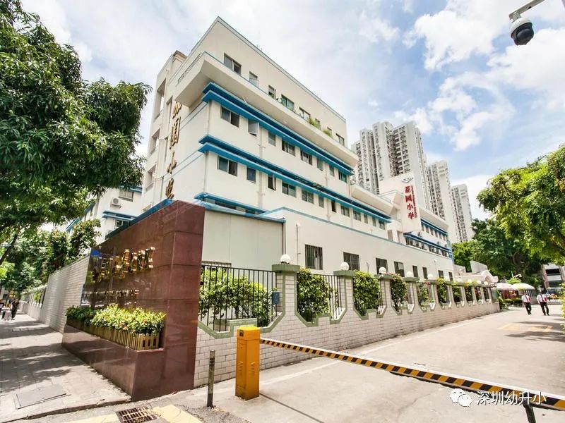 深圳3+2学校哪个比较好,深圳比较好的双语私立小学
