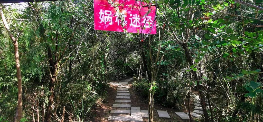 南充哪里有玻璃栈道和玻璃滑道,南充摇摆桥