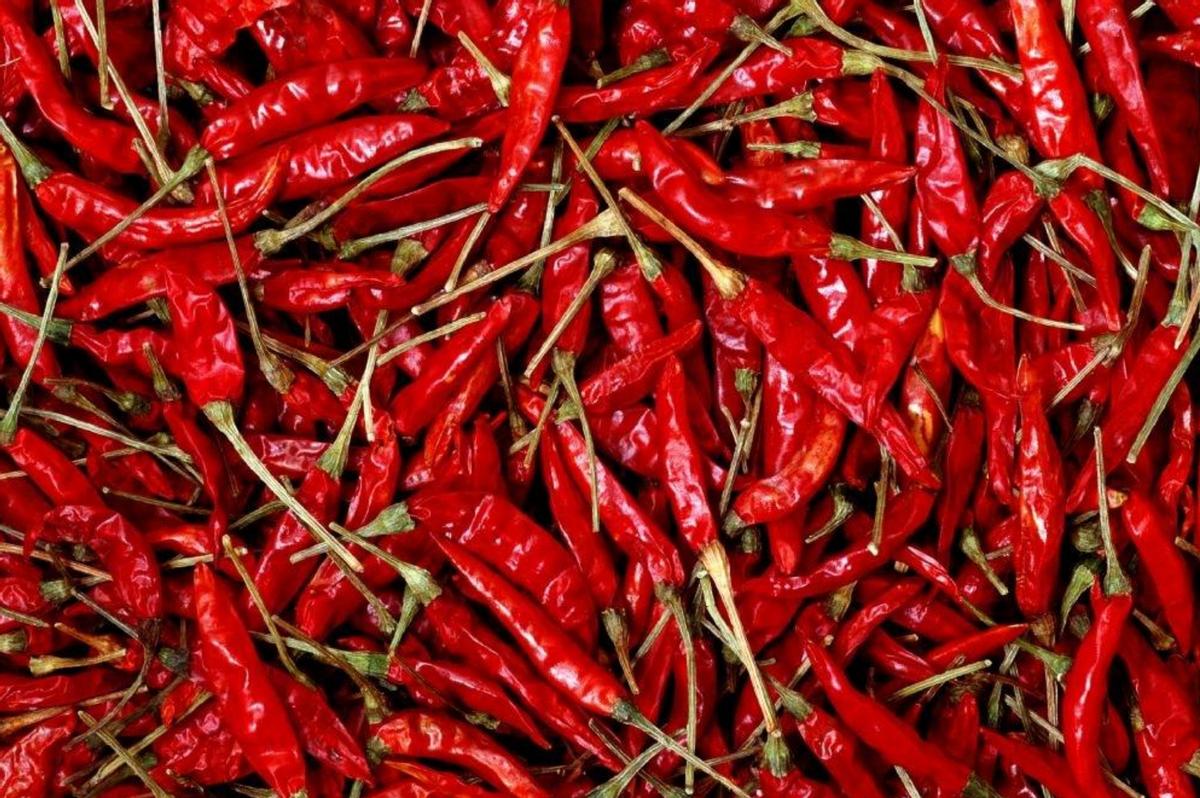 舌尖上的“加湿器”，这四种食物，医生建议湿气重的人一定要少吃