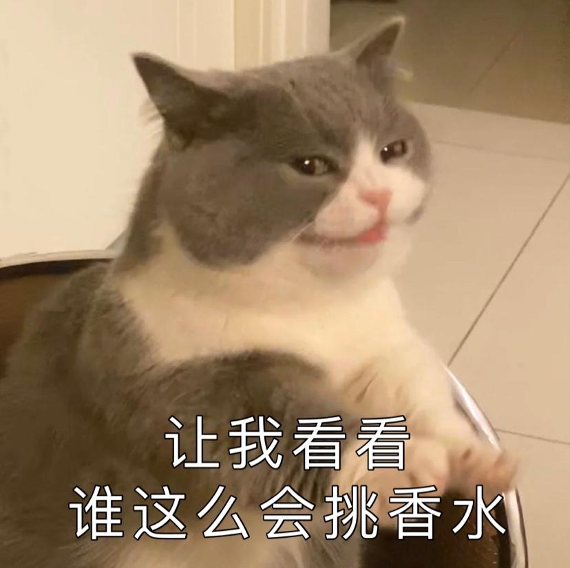 好闻又不撞味道的香水,不容易撞香的檀香男士香水