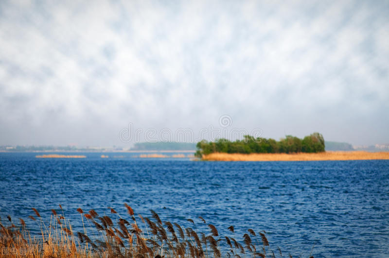 河北有哪些大品牌,河北省知名品牌认定