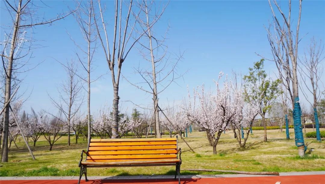 郑州免费游玩公园推荐,郑州新公园开放了吗