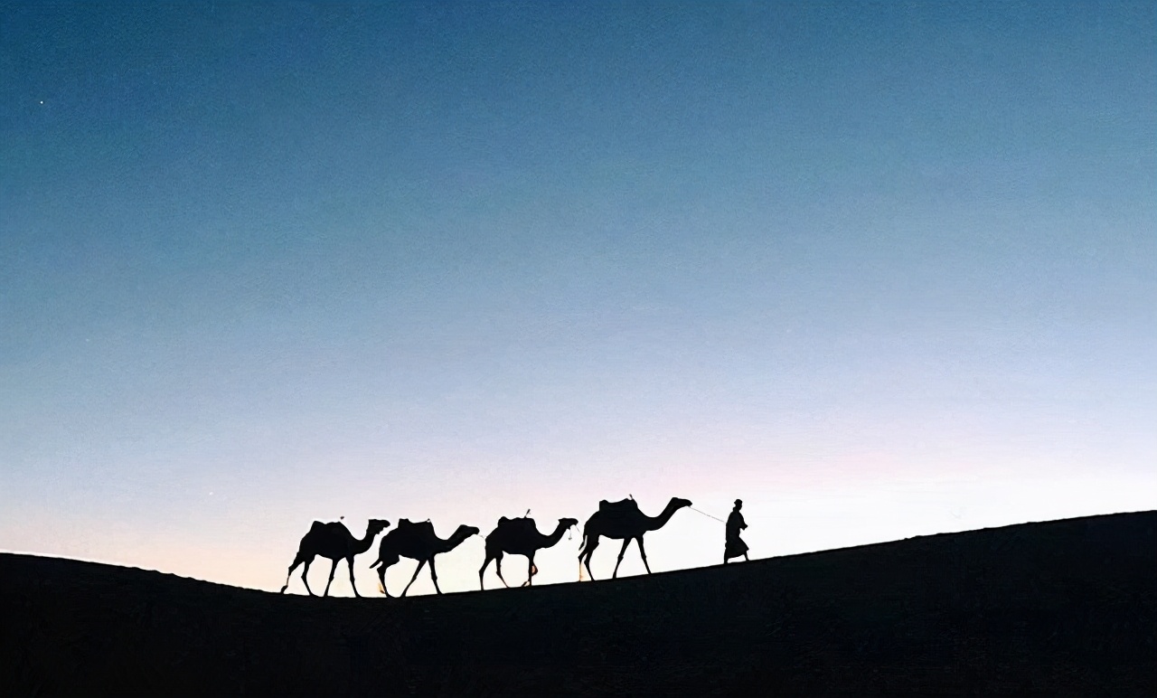 这四种人自带贵气值得深交一辈子,这三种人自带贵气请深交一辈子