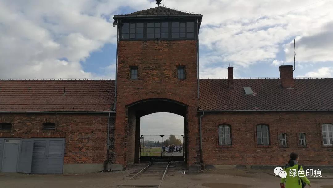 奥斯维辛集中营旅游,奥斯维辛集中营雏菊