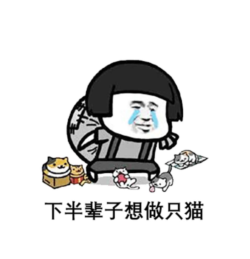 最好的天然猫粮,世界上最顶级的猫粮