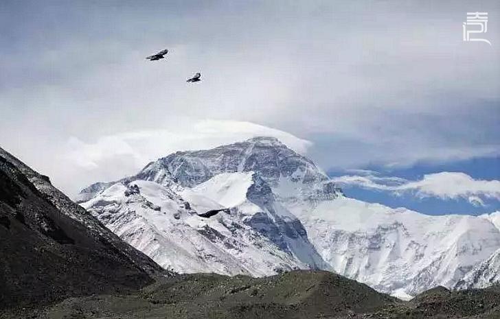 攀登30年，一群北大人的致青春