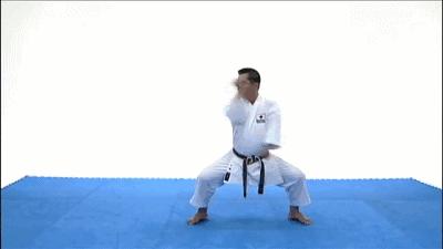 空手道基本功gif,空手道gif