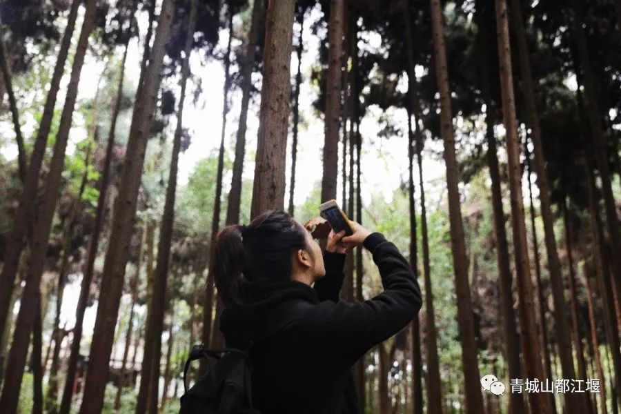 在古村落拍照怎么摆姿势好看,在古堰拍照姿势