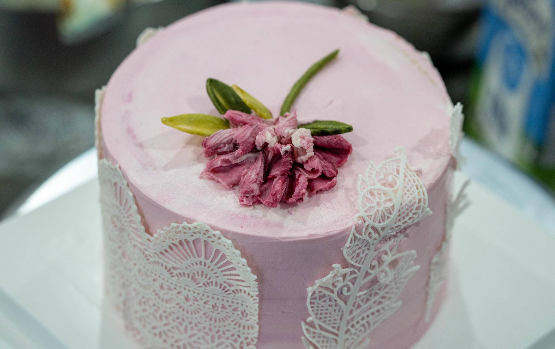 海氏i3烤箱能双层烤吗,海氏烤箱i3和f1哪个好用