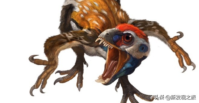 动物简史：从原核生命到人类文明