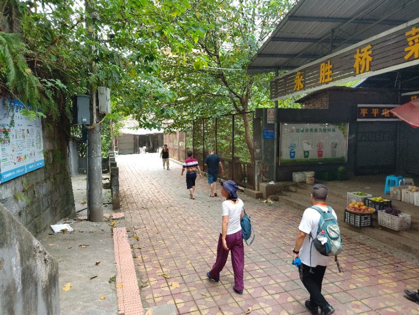 扫街日记100篇,扫街日记视频