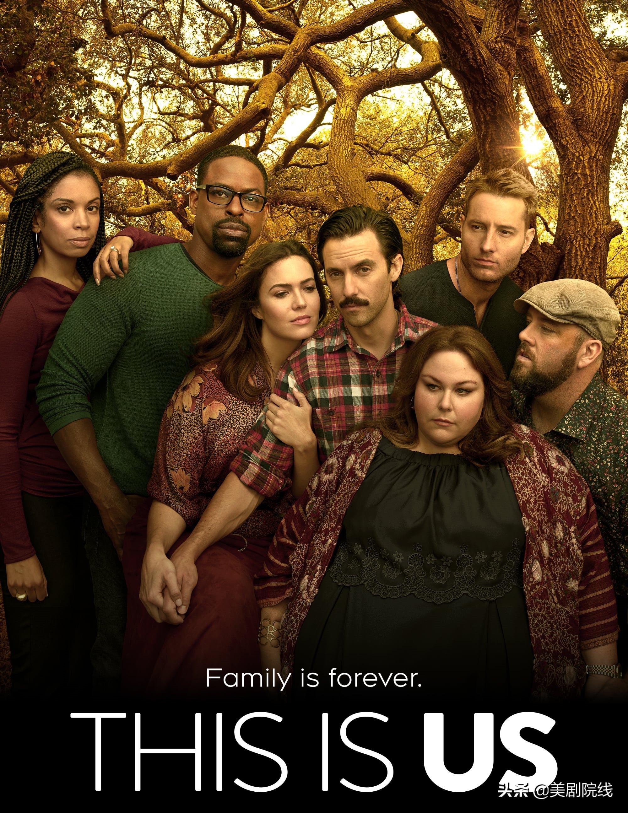 这个月也太爽了吧，爆款美剧这么多，你的网盘还够用么