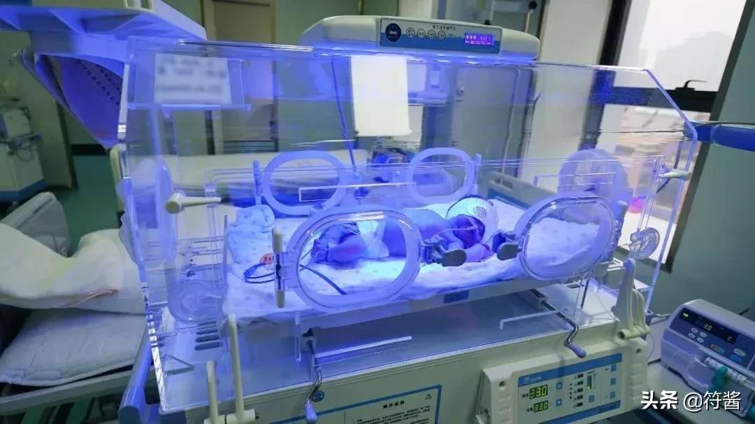 广州2023民办学校学费一览表,广州民办小学5000一学期