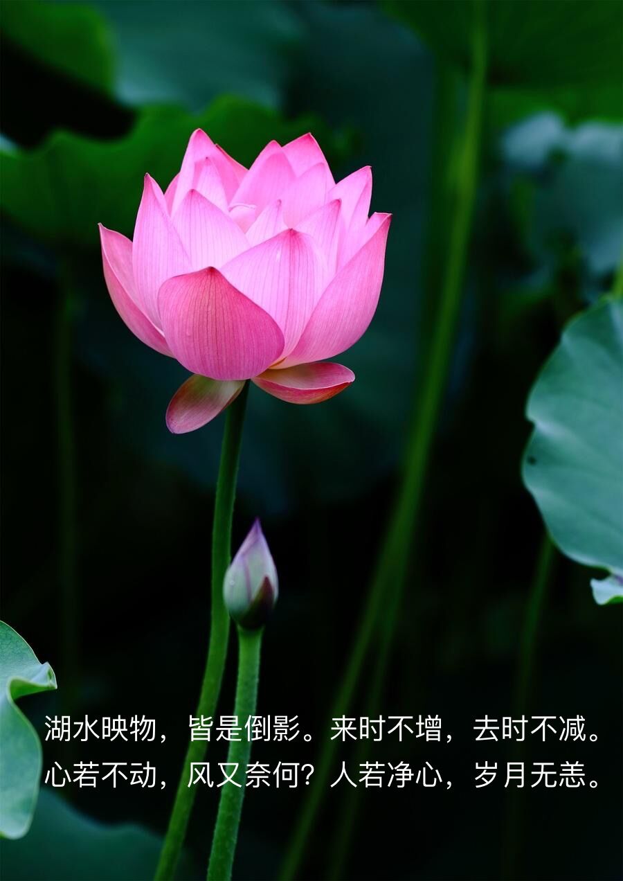 心中的神明,心中的神明作文