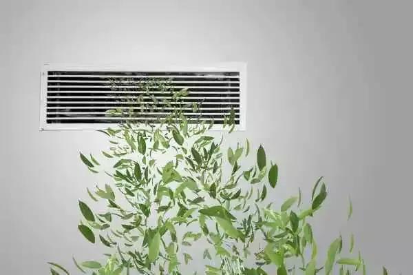 壁挂式新风能吊顶吗,想装新风系统品牌应该怎么选