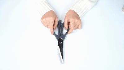 一把高端厨房鸡骨剪,双立人厨房刀具原装进口