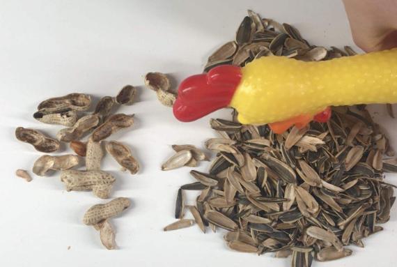 水果皮厨余垃圾是怎么变成肥料的,香蕉皮用来养花的几大作用