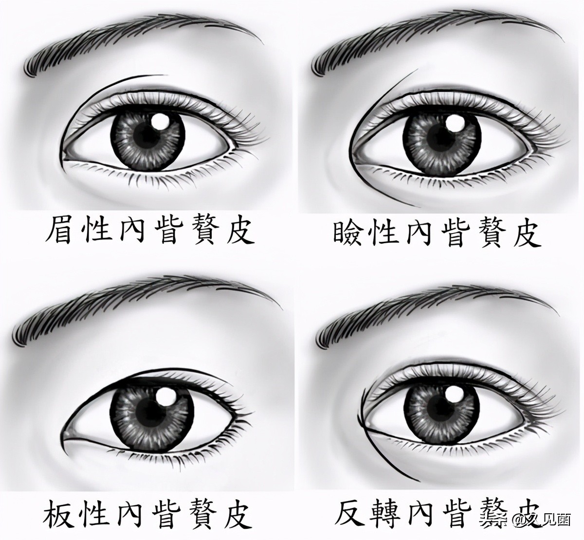 中国人不是“黄种人”？通过肤色划分人种，不亚于“东亚病夫”