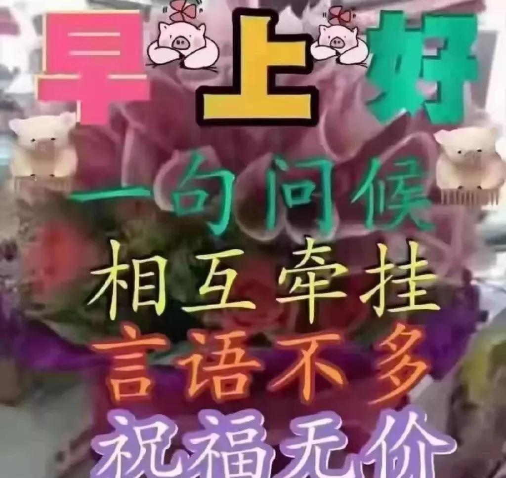 不要让自己心乱的短语,别让自己乱了方寸