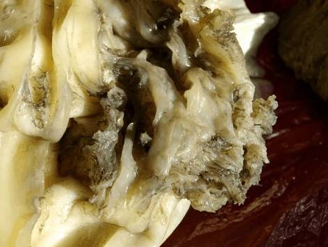 太岁头上不得动土的由来,太岁头上不宜动土的意思