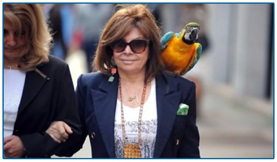 比电视剧还狗血的GUCCI一家:买*杀凶**夫,兄妹内斗,父子反目