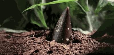 喂奶时被婴儿咬,为什么喂奶时宝宝会突然咬你