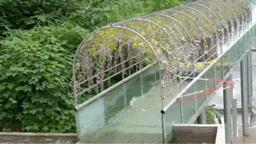 看瀑布四川,广安第一宽瀑布