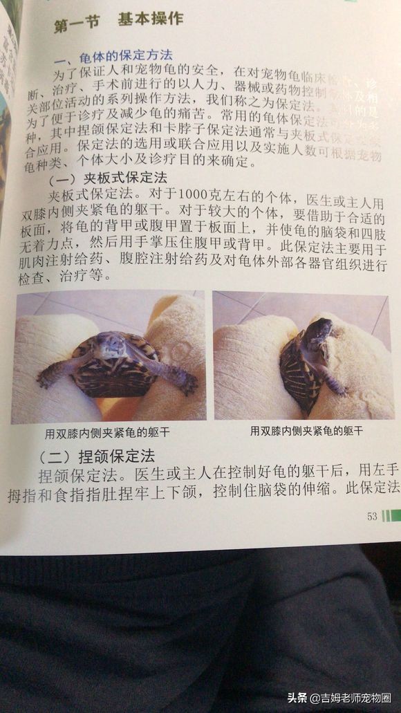 乌龟放水里一直游到岸边怎么办,乌龟溺水后眼睛是睁的还是闭的