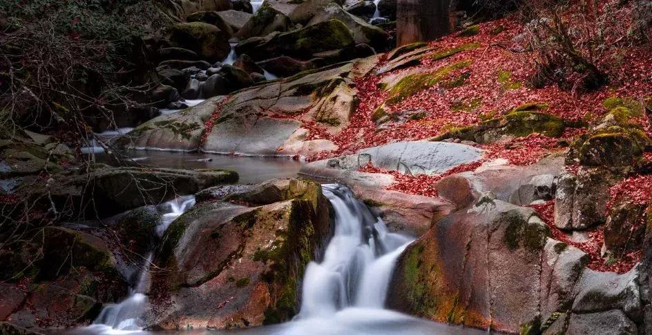 四川巴中为什么被誉为红军之乡,四川巴中出名吗