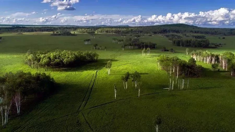 离俄罗斯只有一江之远,离黑龙江很近的俄罗斯城市