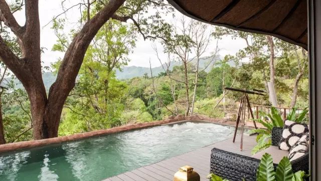 真正的森林树屋,这些树屋满足你对森林的所有幻想