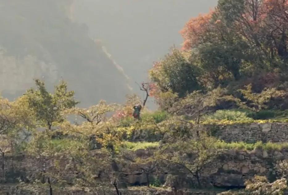 经典怀旧影视喊山,喊山电影视频