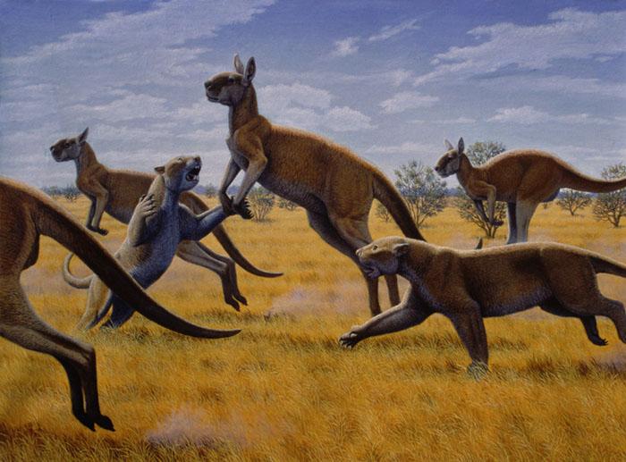 猫狗祖先的进化史,猫狗在现今社会的地位