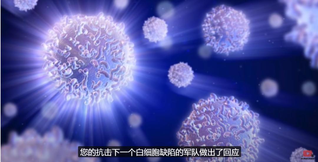 吃生蚝有没有增加人的抵抗力,生蚝玉米粥