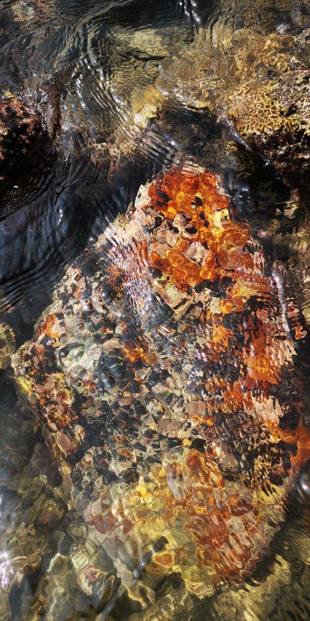 香港最后一片净土避世天堂,香港西贡一日游攻略图