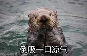 微信外汇投资,微信上兑外汇的女人